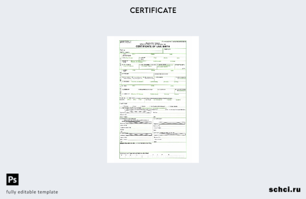 скачать цифровую версию Филиппинского сертификата о живорождении